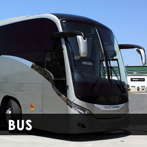 bus-driver-cortona-francesco-calzini